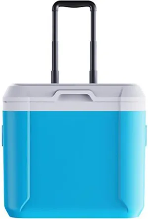 Car Camping Coolers for Studebaker Flight Hawk/Golden Hawk/Lark/President/Silver Hawk, Leak Proof Cooler, Portable Lightweight Ice Chest Box, Compartments Waterproof Insulated Bag