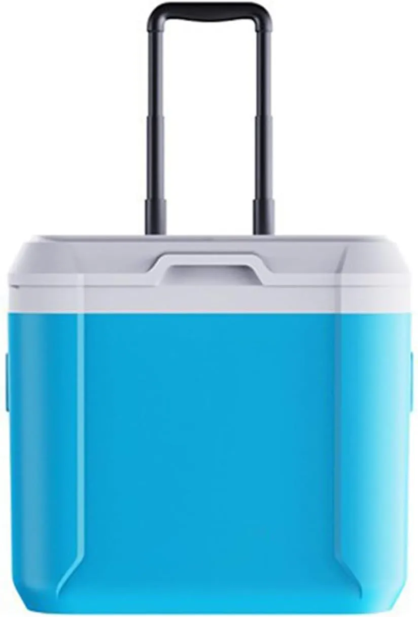 Car Camping Coolers for Studebaker Flight Hawk/Golden Hawk/Lark/President/Silver Hawk, Leak Proof Cooler, Portable Lightweight Ice Chest Box, Compartments Waterproof Insulated Bag