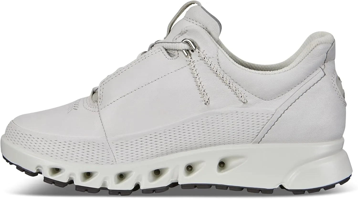 ECCO Men's Multi-Vent Gore-Tex Waterproof Hiking Shoe