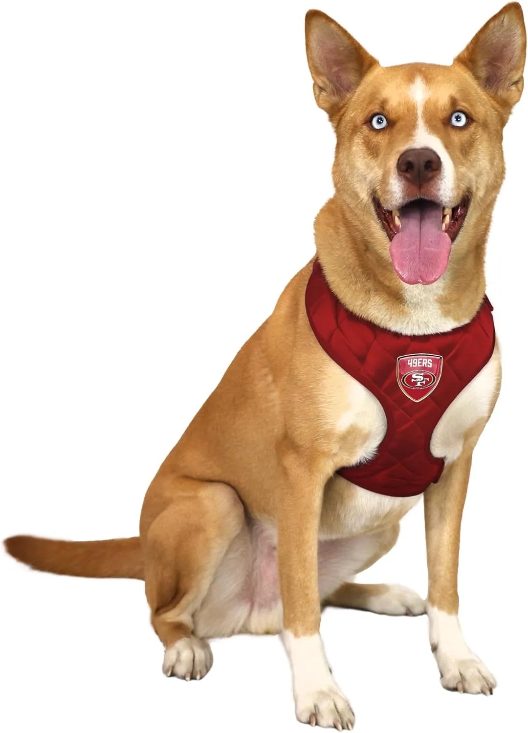 Littlearth NFL Unisex-Adult NFL Velvet Pet Harness