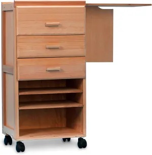Matisse French Painter's Taboret
