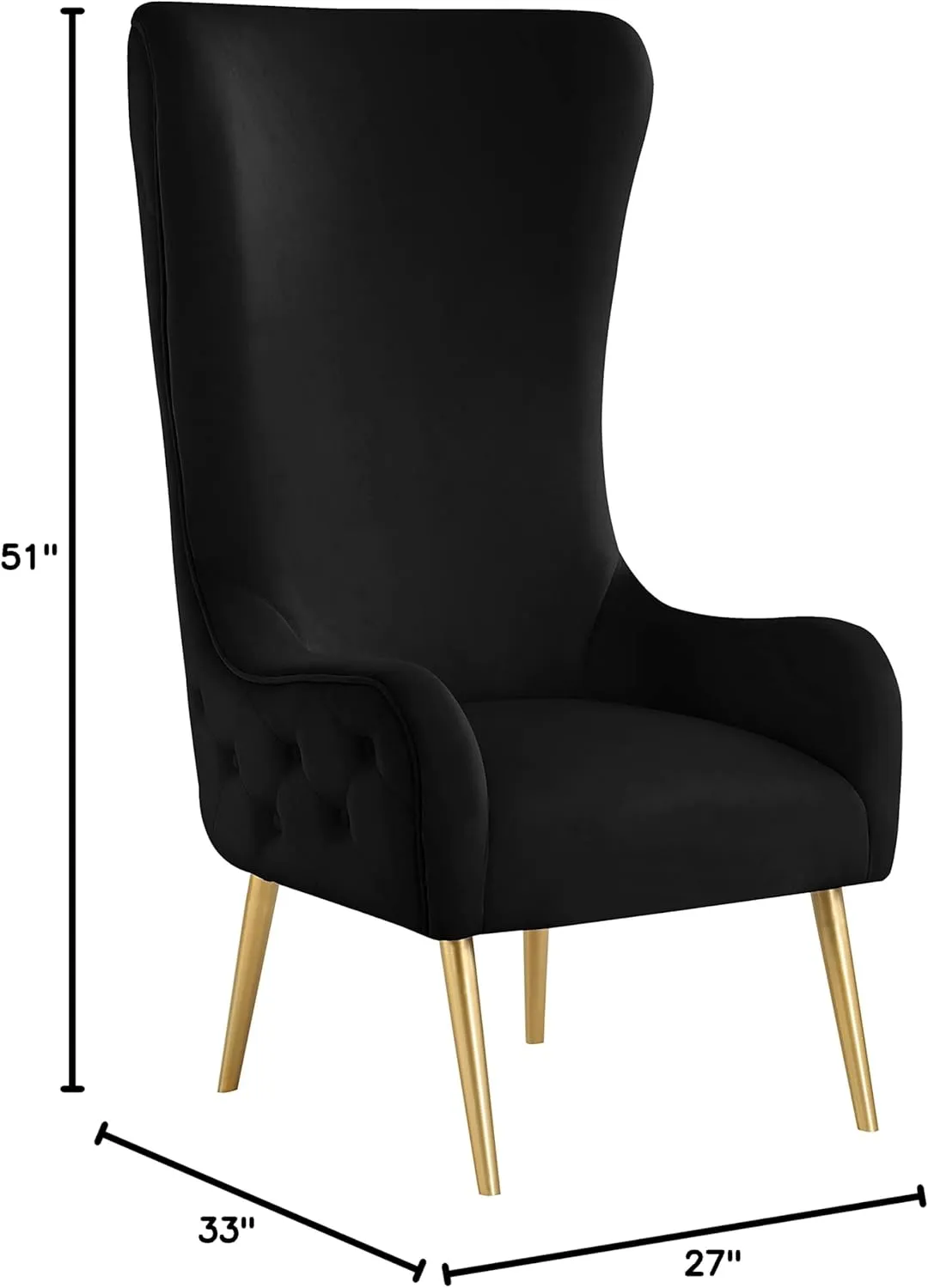 Meridian Furniture 536Black Alexander Collection Modern | Contemporary Velvet Upholstered Accent Chair with Sturdy Gold Metal Legs and Deep Button Tufting on Back, 27" W x 33" D x 51" H