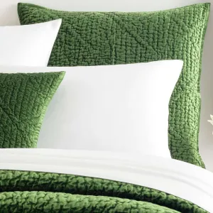 Parisienne Velvet Evergreen Quilted Sham, Standard Size, Green Solid Pattern