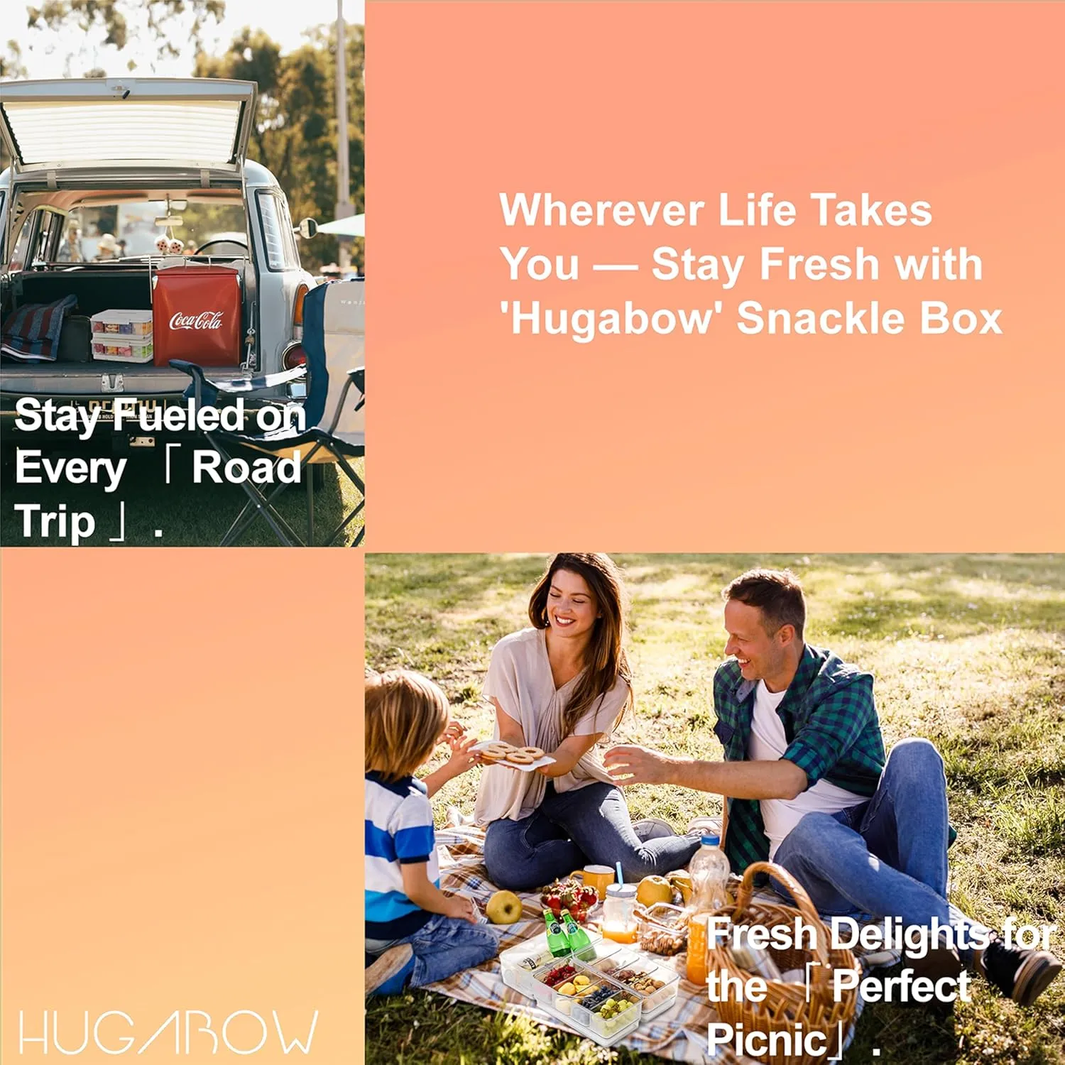 Portable Snackle Box Container with Ice Pack, 4 Large Compartments Chilled Travel Charcuterie Tray with Lid & Forks, Cooling Divided Serving Tray, for Outdoor Parties, Picinics