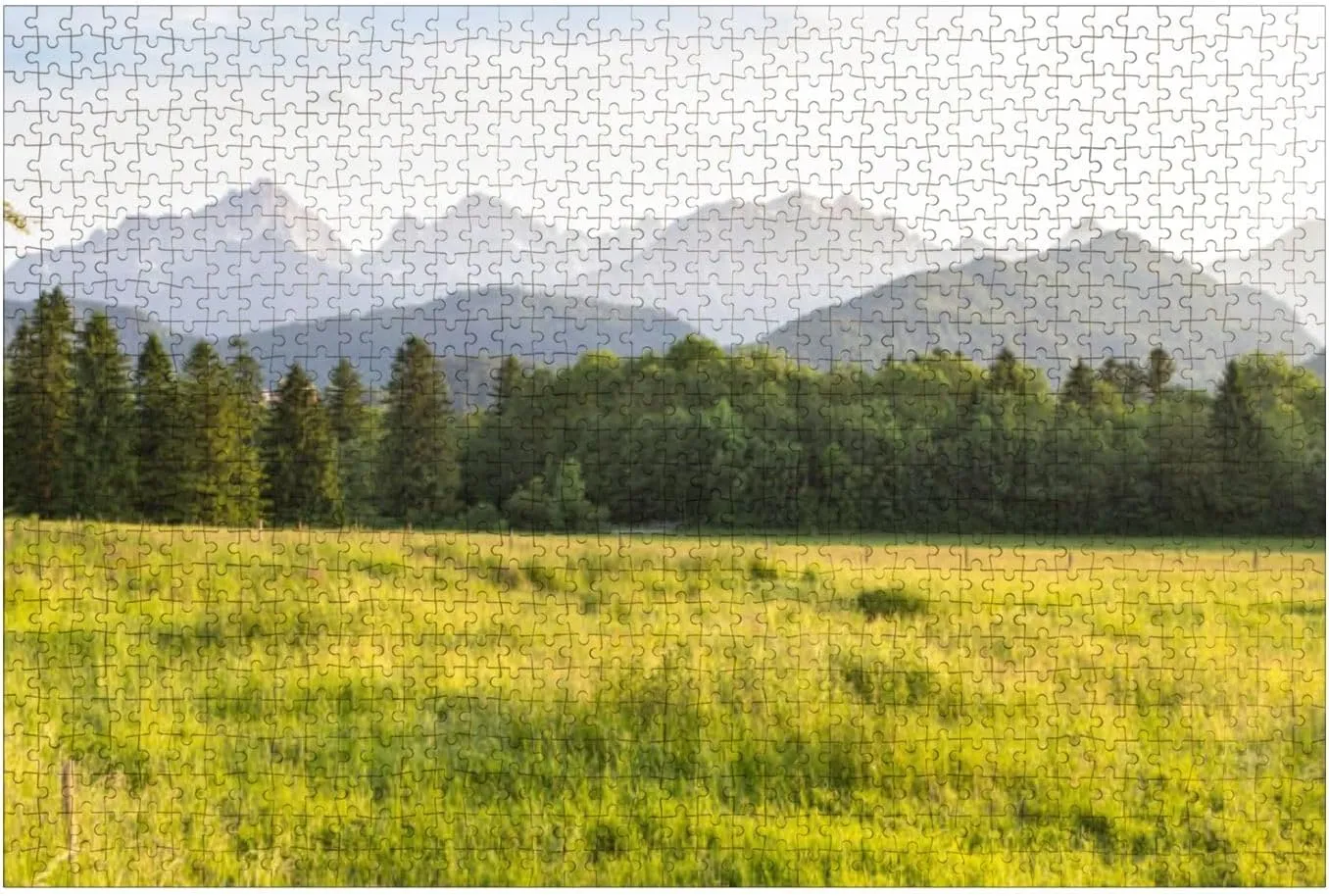 Puzzles for Adults 1000 Pieces Typical Alpine Landscape Wooden Jigsaw Puzzles Challenging Fun Educational Family Games Kid Toys Art Work Gift Home Decor