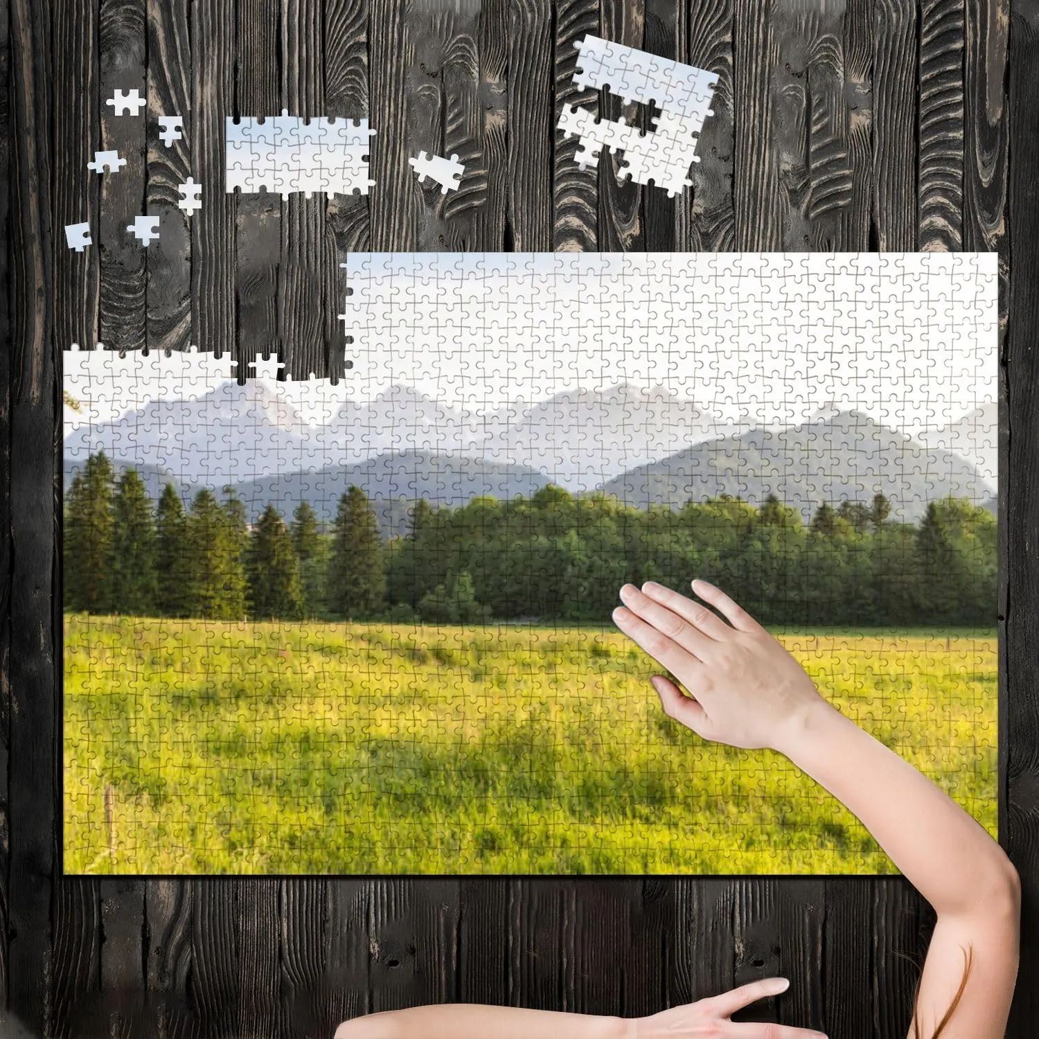 Puzzles for Adults 1000 Pieces Typical Alpine Landscape Wooden Jigsaw Puzzles Challenging Fun Educational Family Games Kid Toys Art Work Gift Home Decor