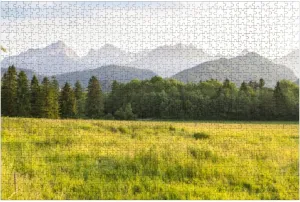 Puzzles for Adults 1000 Pieces Typical Alpine Landscape Wooden Jigsaw Puzzles Challenging Fun Educational Family Games Kid Toys Art Work Gift Home Decor