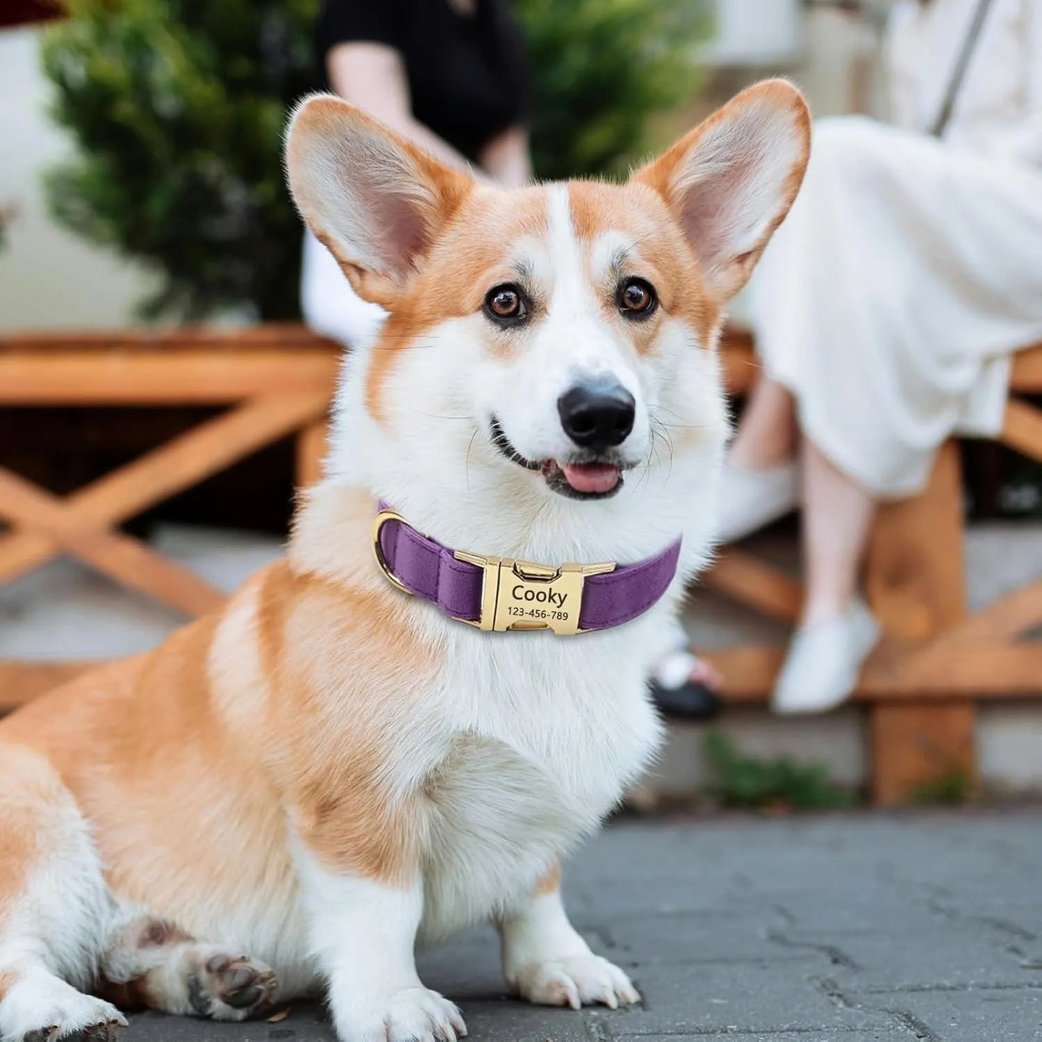Velvet Personalized Dog Collar with Name - Customizable Dog Collar with Quick Release Metal Buckle - Leash and Bow Tie Available (Midnight Blue, L)