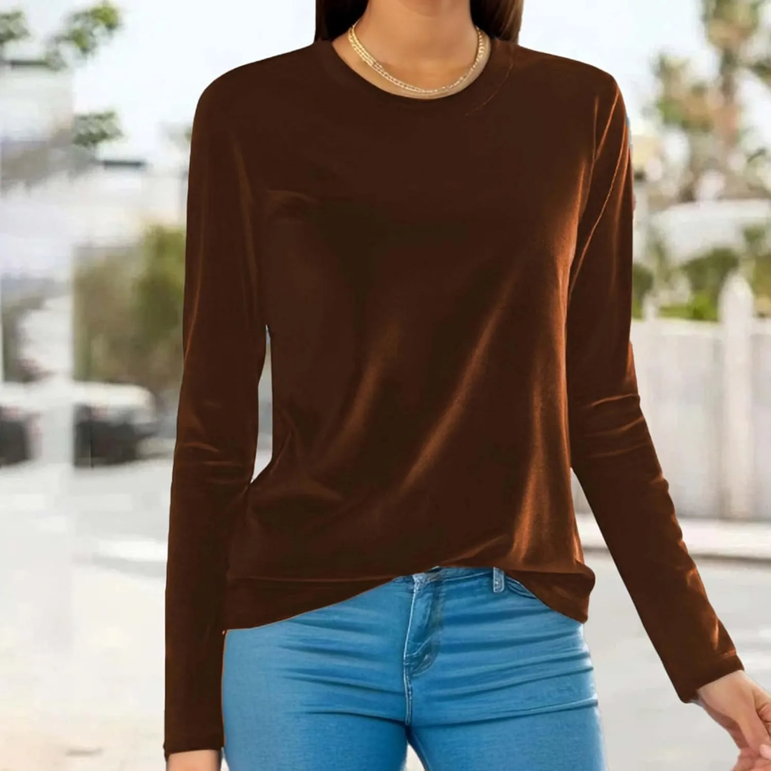 Velvet Tops for Women Long Sleeve Crewneck Soft Velvet Blouse Lightweight Casual Fashion Tshirts